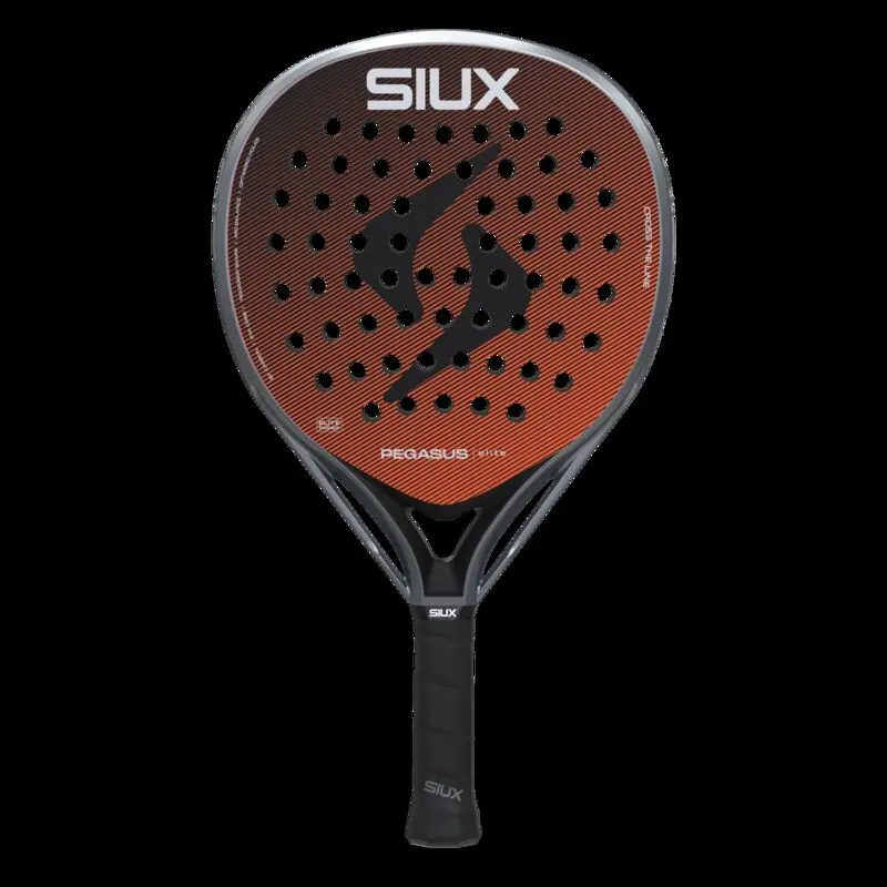 Siux Pegasus Elite 4 2026